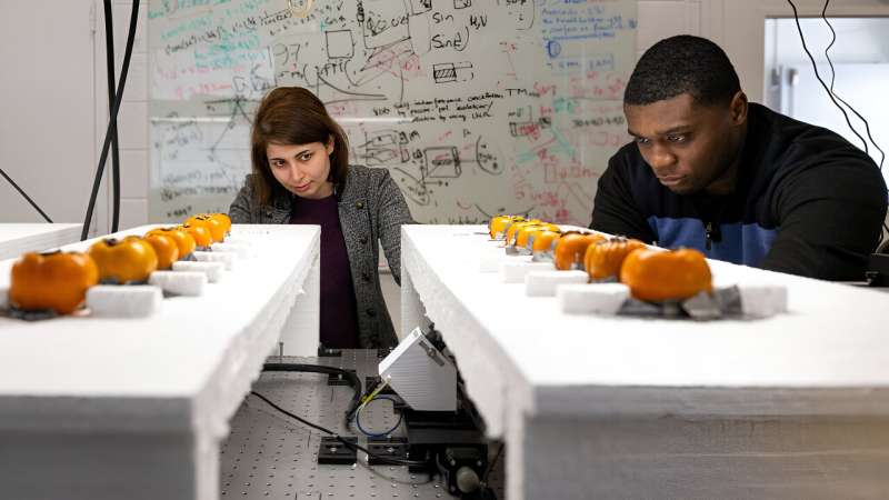 Борьба с пищевыми отходами: Новая система использует беспроводные сигналы в субтерагерцовом диапазоне для определения спелости фруктов